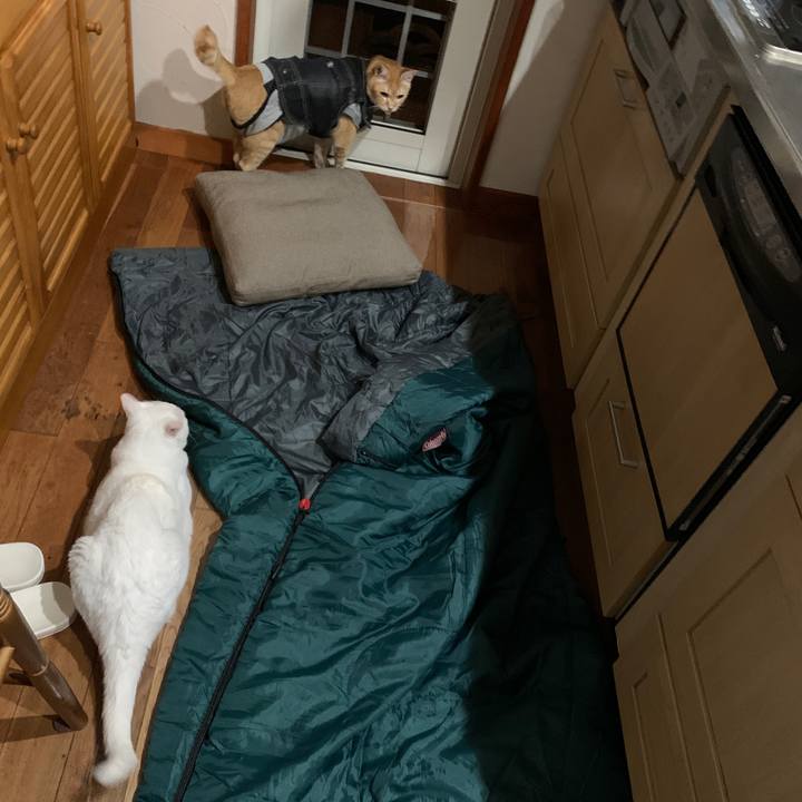 B0e9d671 12b9 4544 bceb 95f88ac53595 1657398980527