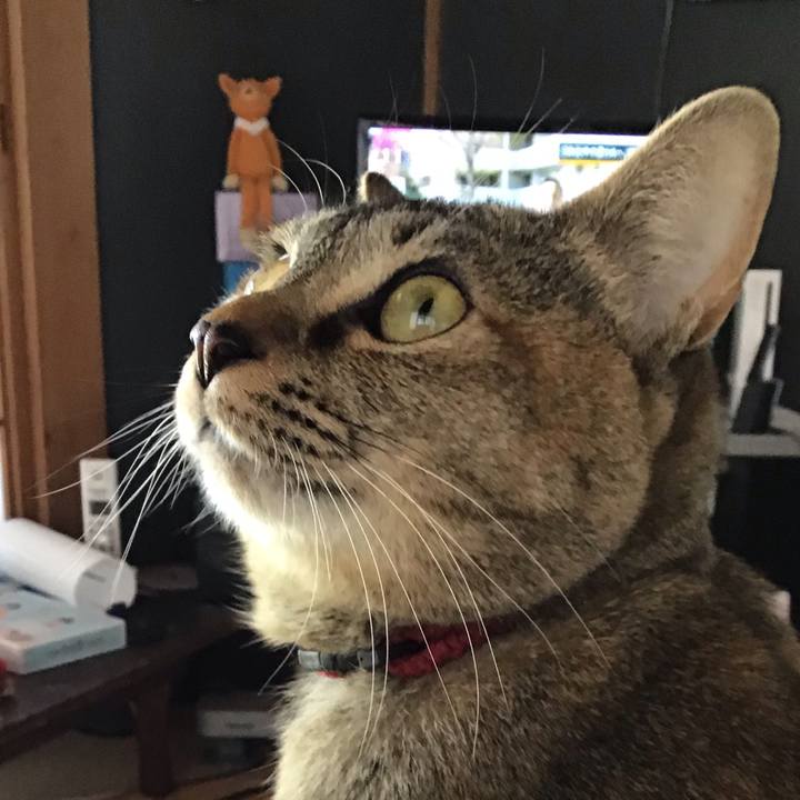 B0e9f37b 4637 4fa0 ae0b f8d7c2384ba6 1584414102878