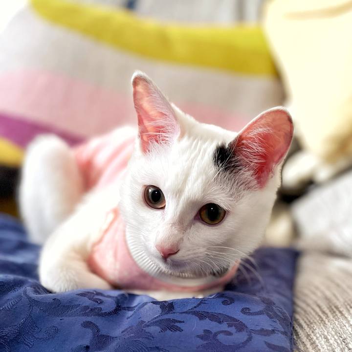 B0ea2864 faa3 4902 af32 69114cc8227d 1677291611262