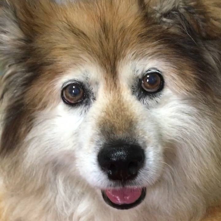 B0ea3168 24c4 421d b16a 5100801bf9da 1598352470599