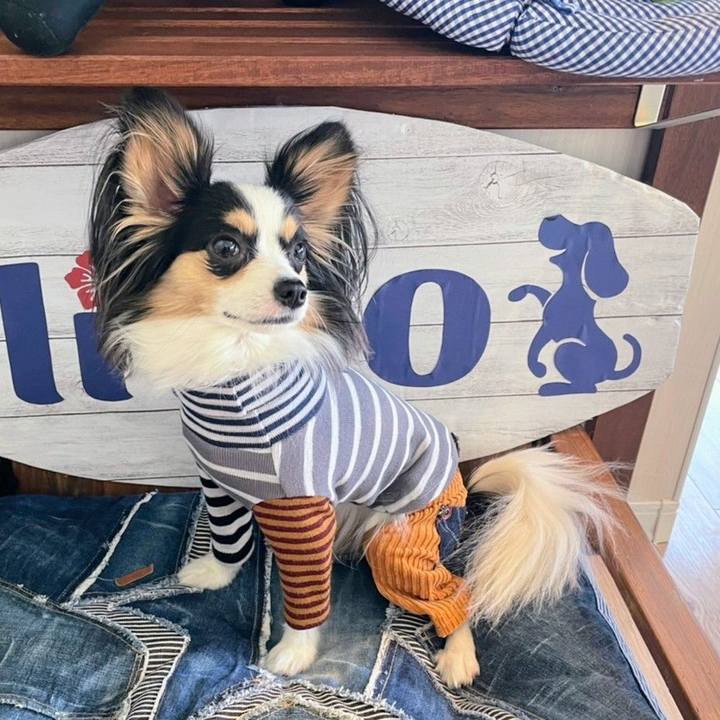 B0ea5150 e4a4 451d 96a5 34f6d22534d4 1635130545861