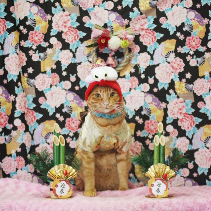 B0ea6548 0ae4 4d72 8dc5 5b92d01e1b84 1735735614851