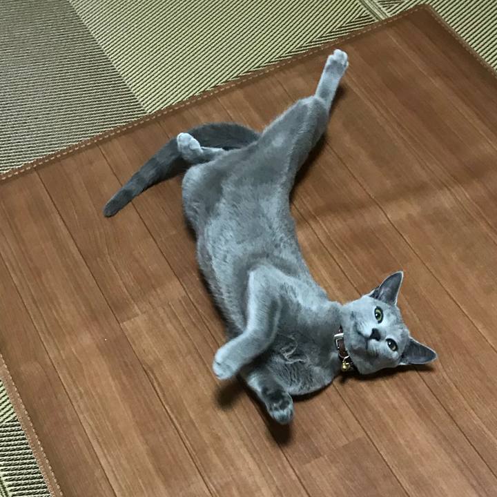 B0ea883b 647a 4677 9045 a79b59bb4b16 1519801092780