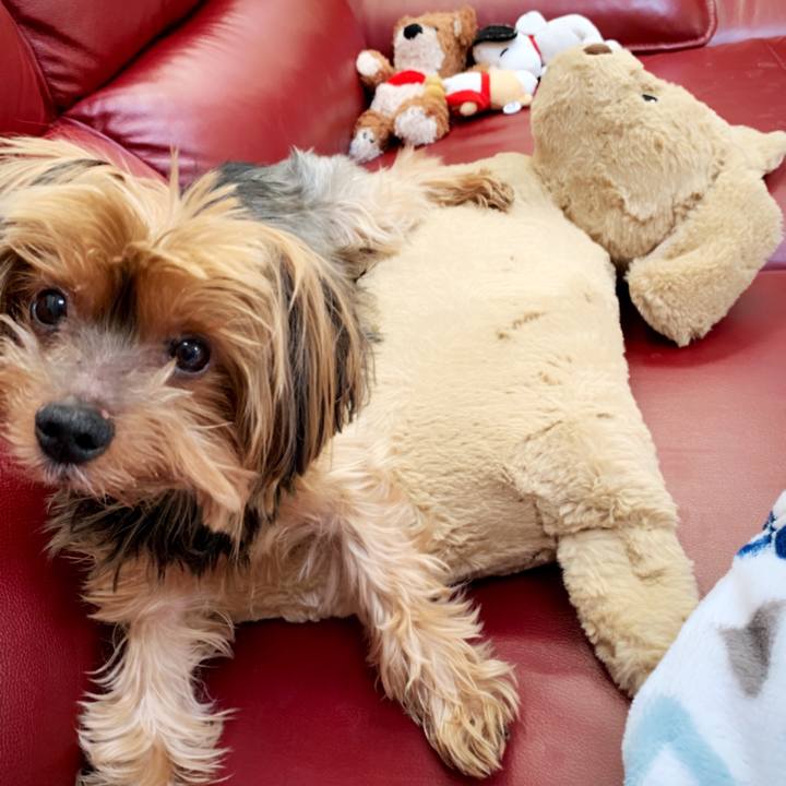 B0ea947e fb50 4470 9459 601d65529a8e 1579567336693