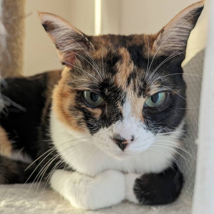 B0eaa108 4b6a 467a bb73 781e41b2a79b 1699242720211