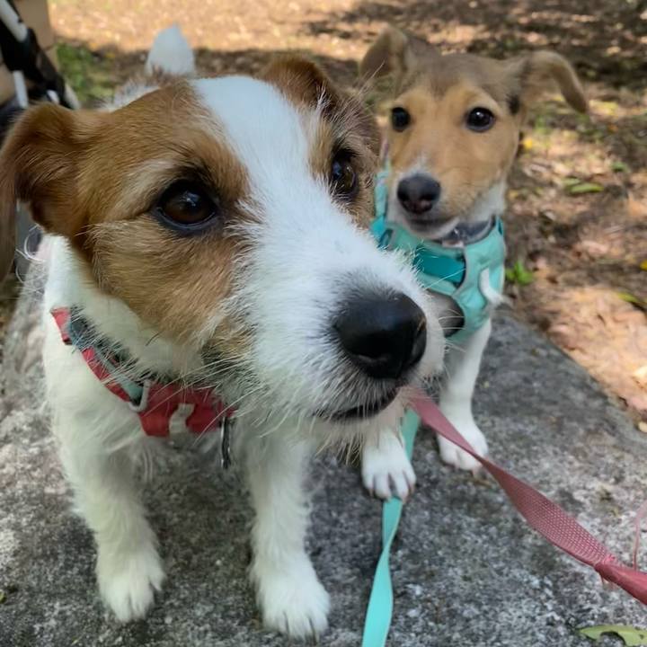 B0eadd33 6d4c 43c2 8101 e07c658f819f 1745741789638