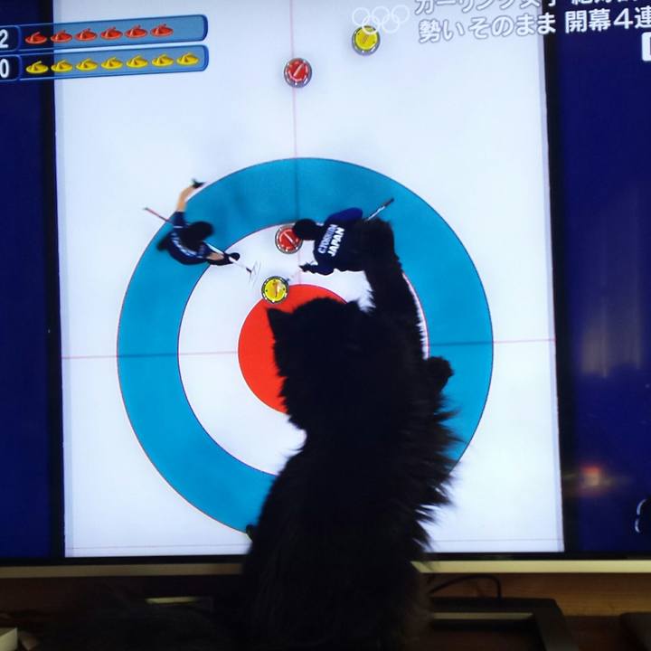 B0eae4d8 979f 496e a551 b28d1efbd9ea 1518827657194