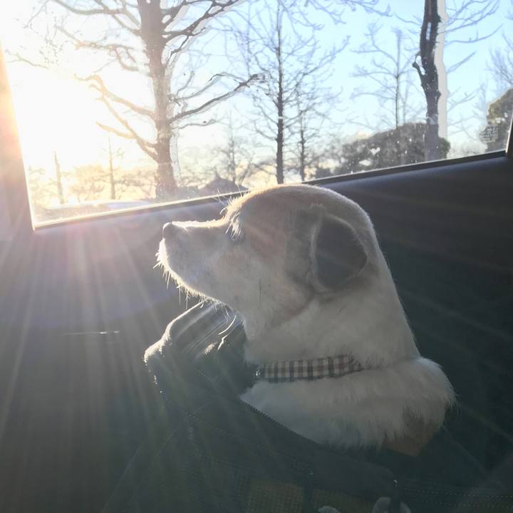 B0eaeb39 4fa6 486a 980a 3736068b7b60 1645431908676