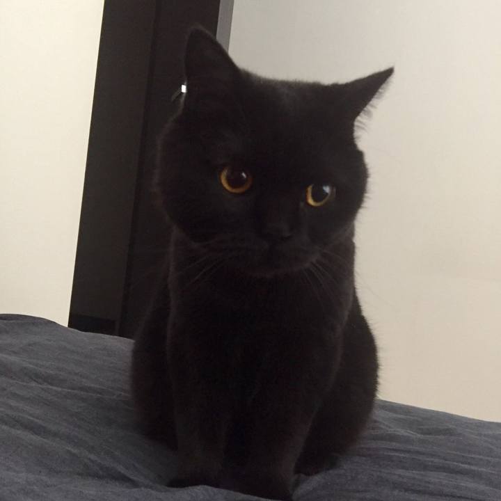 B0eafc00 2e21 4a36 8850 00b154b05bdd 1591535664105