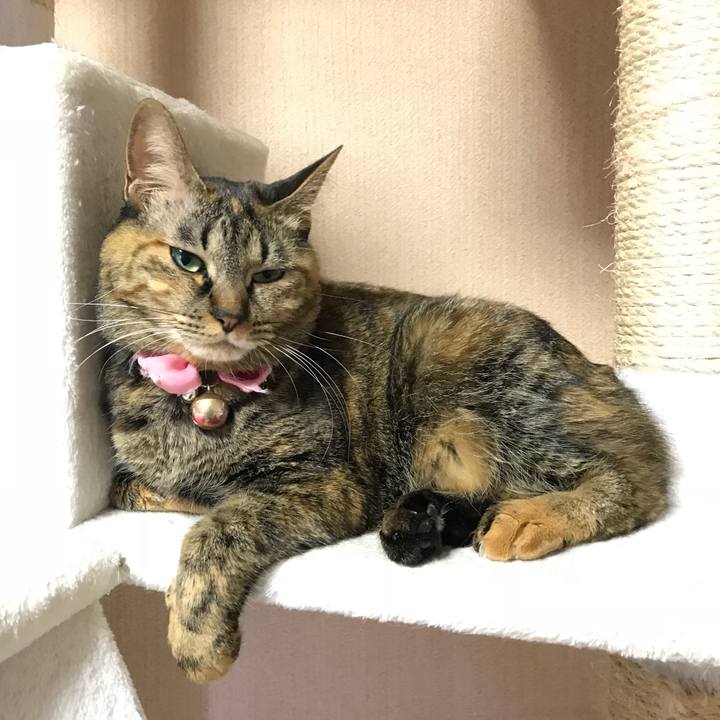 B0eb5825 10f6 4085 97f1 339d2f53100d 1517544622083