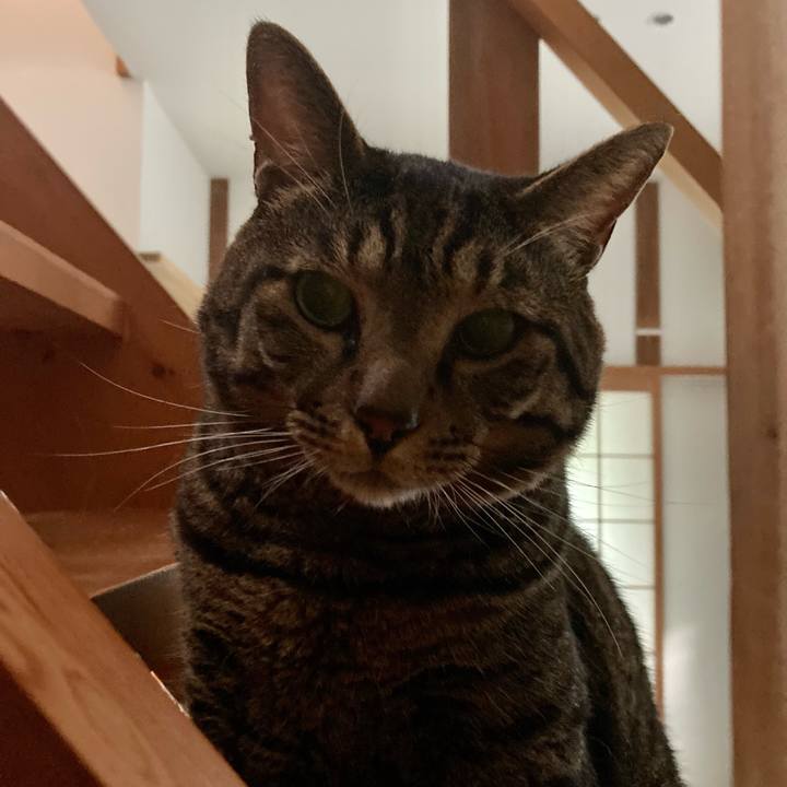 B0eb6c18 4c62 43ad bc68 7ba45195f72a 1691283114847