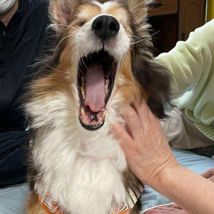 B0eb6f63 ed02 4905 9c92 565007e30fff 1652678080185