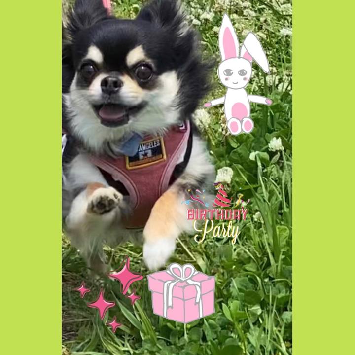 B0eb8bed adb9 45fd b398 5ef98a702817 1624963897701