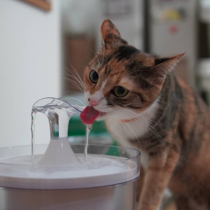 B0ebaa35 0a4f 4bf7 aff4 65d1c17c55b3 1631880409279