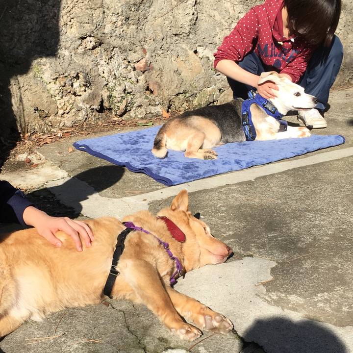 B0ebcca3 dd87 4352 a5df 6566373ba732 1519983633168