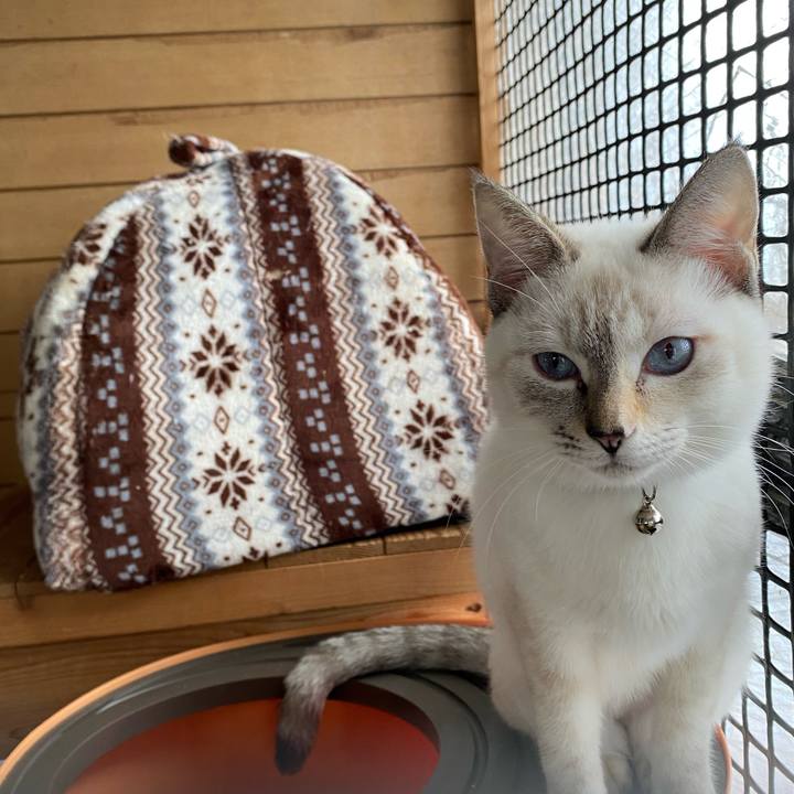 B0ebd1e3 7e18 410f aaee 80973b8ae641 1636590879135