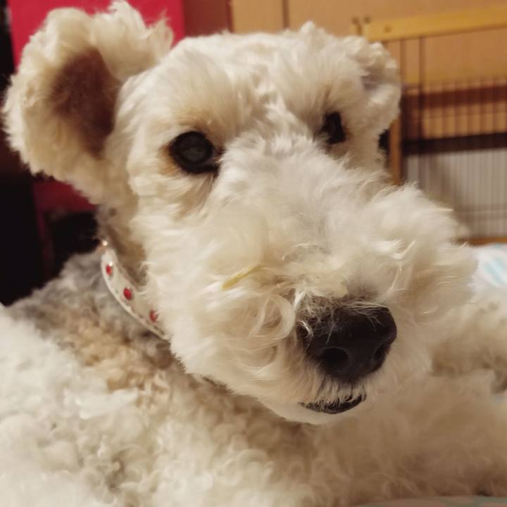 B0ec1661 6d2b 42de a904 08c3e973918b 1540481345083