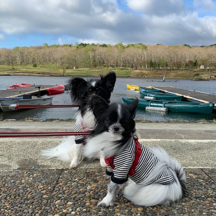 B0ec2ec5 5023 463e aeef c14903247f68 1557186824122