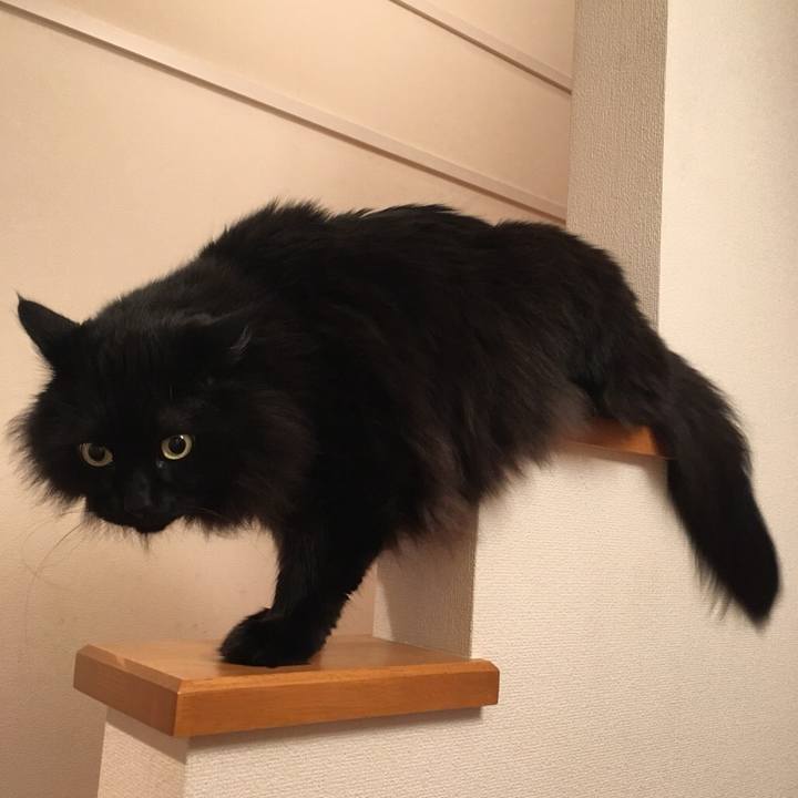 B0ecb02f 8b2c 4b1a ba8e b47b3f8e8df1 1546475787384