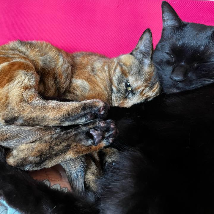 B0ecc277 afb8 4f8d 81cf cd3a59ba8d31 1728510059558