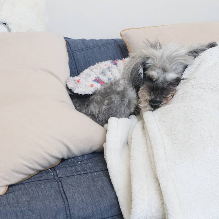 B0ecd065 698e 4e90 ad5f db1f7ddff31c 1768783911761