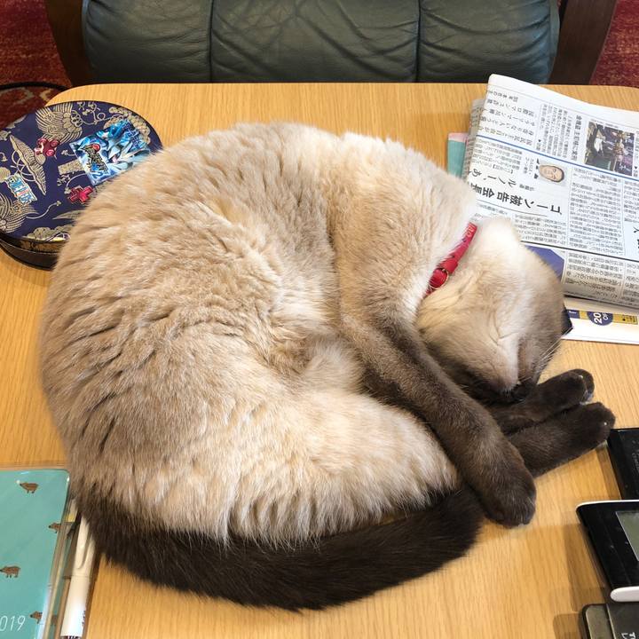 B0ece3a3 81a8 42ba b4ce e7efa91d9d07 1550617609941