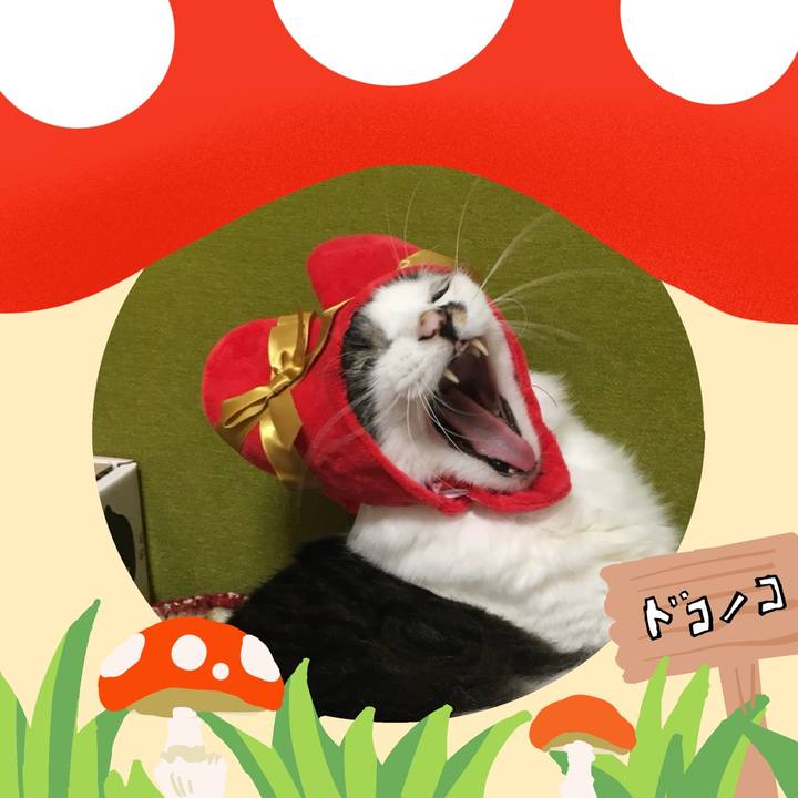 B0ed0dfe 3b43 4f8d 9606 95b2e61167fd 1729905739616