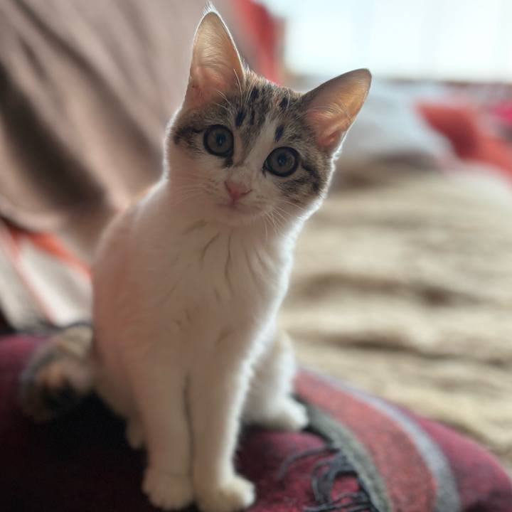 B0ed1cdb 2265 42a9 8c8f fa61e4cb6674 1766069060060