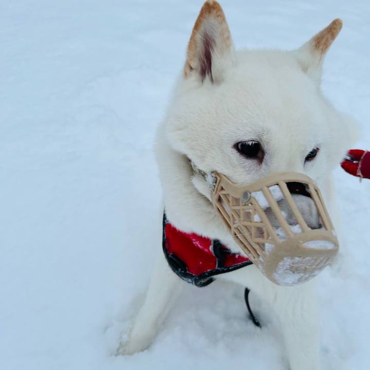 B0ed40df 6705 4039 925a d7b5adda0990 1765923265083