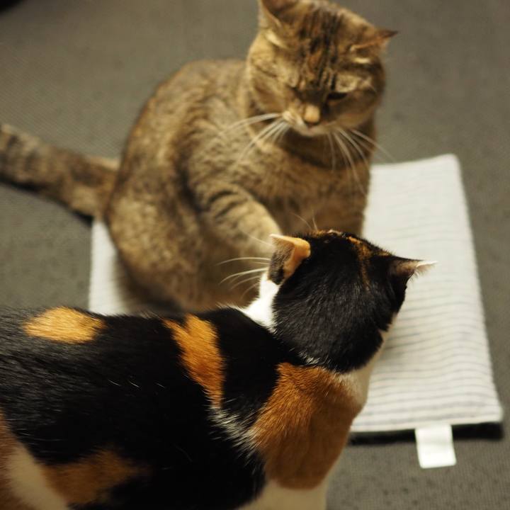 B0ed5fbf ecfb 4083 86cc 321e121069f5 1555367171309