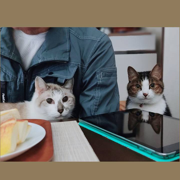 B0ed7142 881c 4810 92d0 6514356e5494 1665101327733