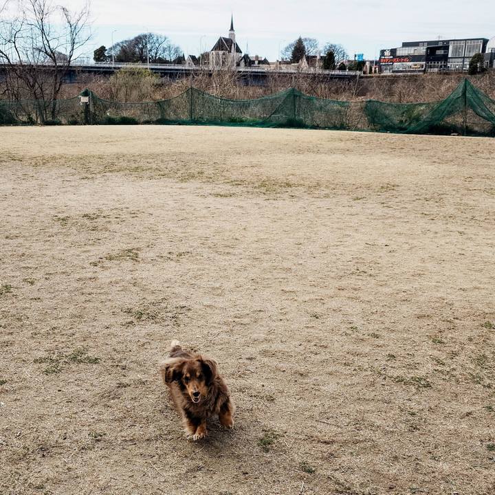 B0edb043 47c6 428a 83cb ef5ff5a1294f 1773538255758