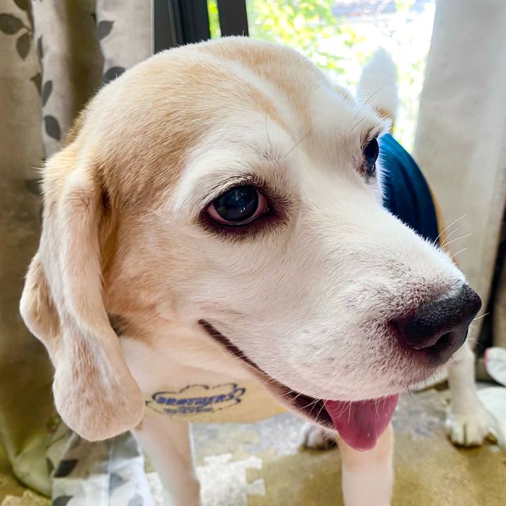 B0edbcd5 8ed6 40ff a3c0 4193dbdab7c6 1633922989561