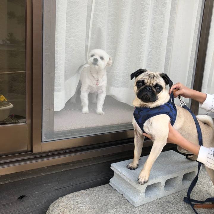 B0ee0dcf a93c 45d7 a59b 99b1955a0a34 1619261771732