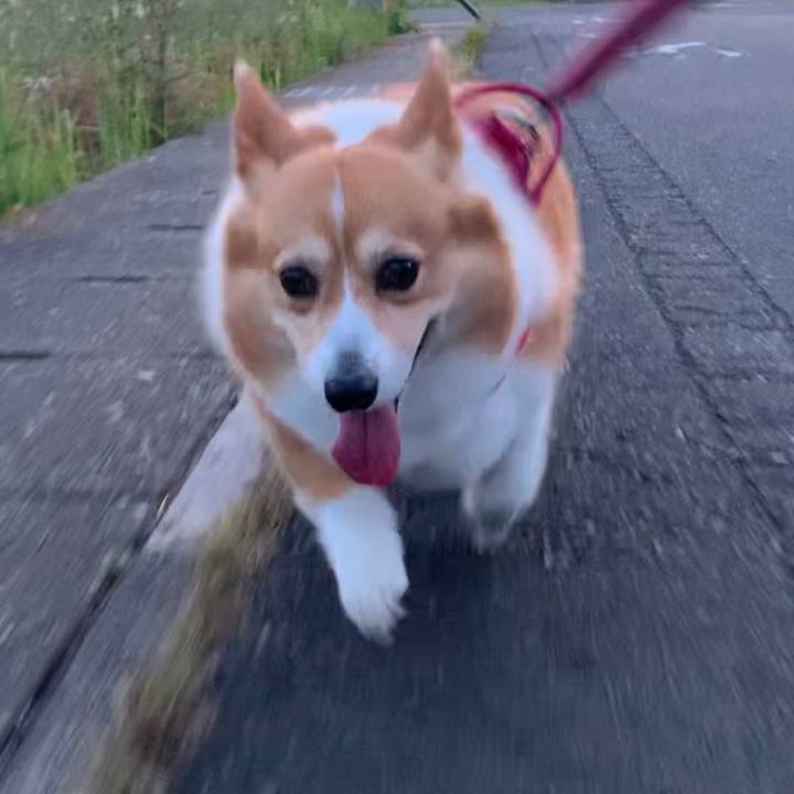 B0ee160d 8a0a 4768 8e50 4408ceead2f2 1684318493693