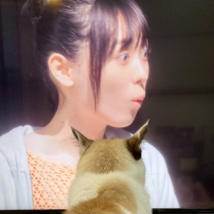 B0ee1704 3c6f 421d be52 ffa2ce58ca14 1668650751578