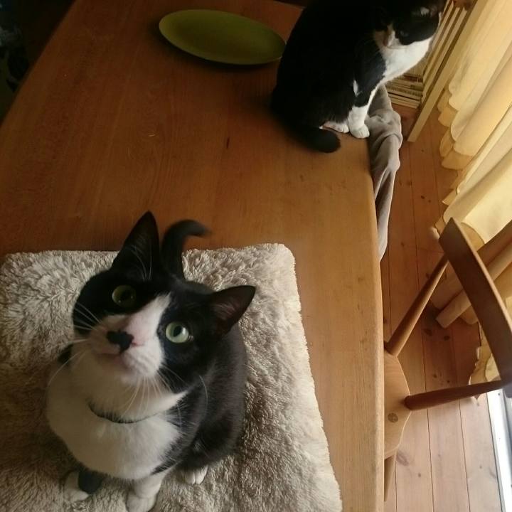 B0ee1c45 5e47 44fa b162 1a6f2c7f9b57 1552824704643