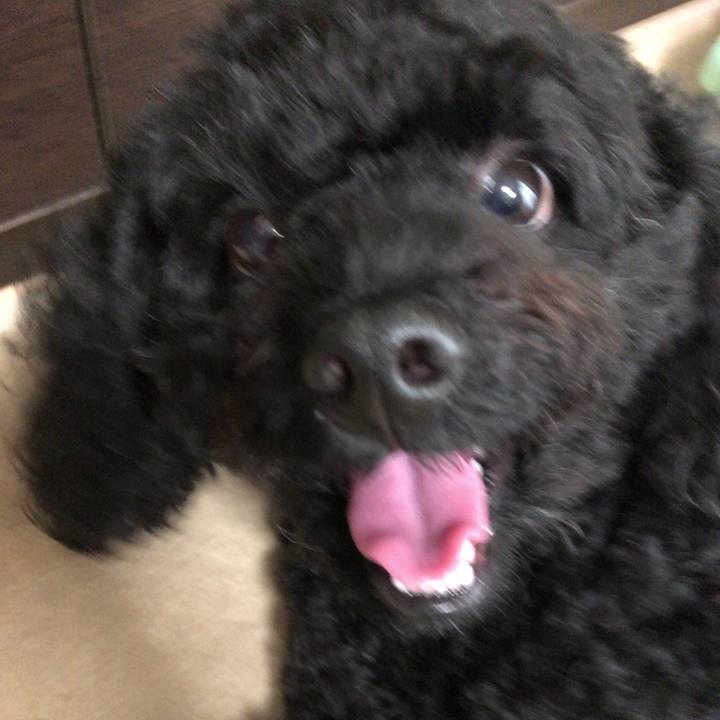 B0ee2c9f 8a83 4334 877f a44c17719eeb 1536657067149