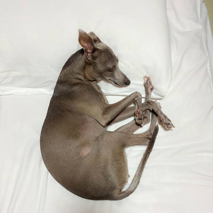 B0ee4457 2fdc 432d b4f3 1d834e4a8fca 1763807967695