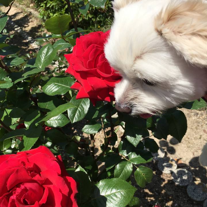 B0ee4b01 9f6e 460b 8933 2375c343d8ec 1540557979714