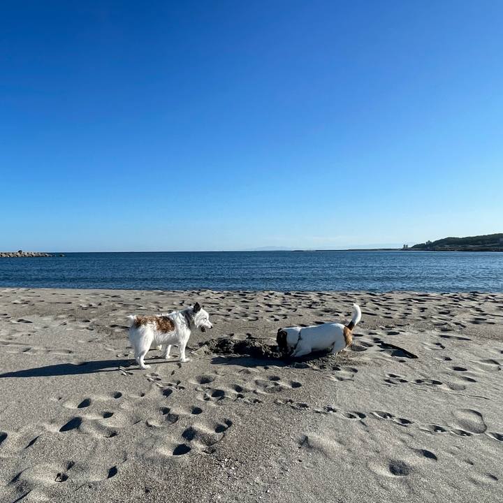 B0ee6f99 efdf 4864 b9fa 041f4a2af6b1 1727222713717