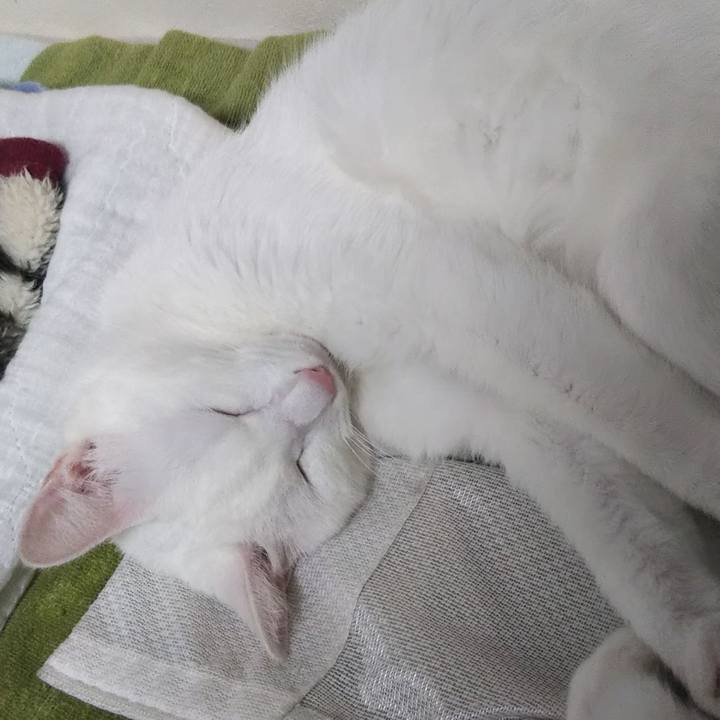 B0ee9353 effc 4f40 91af 48db10be5a96 1627639523829