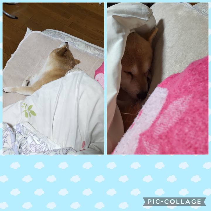 B0eeac01 7770 44a1 8754 4a58187764ea 1766188218872