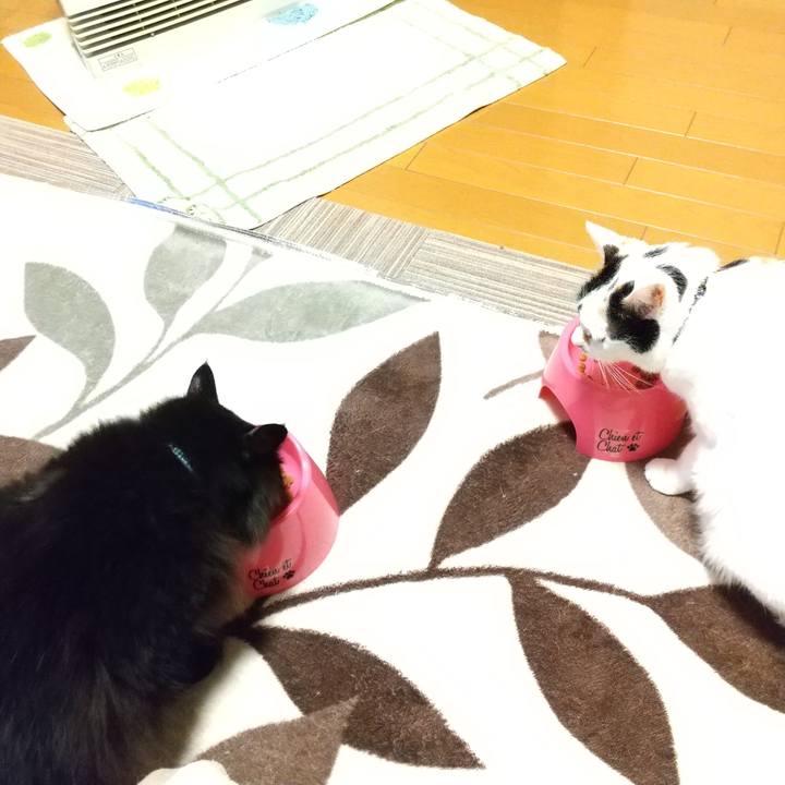 B0eebb4e a932 4003 81d8 2f105d9bf241 1607339624411