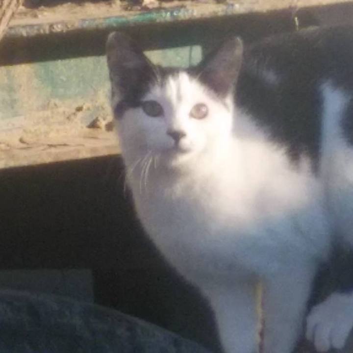 B0eec712 5359 42ff b965 03e92f583e2a 1578615132160