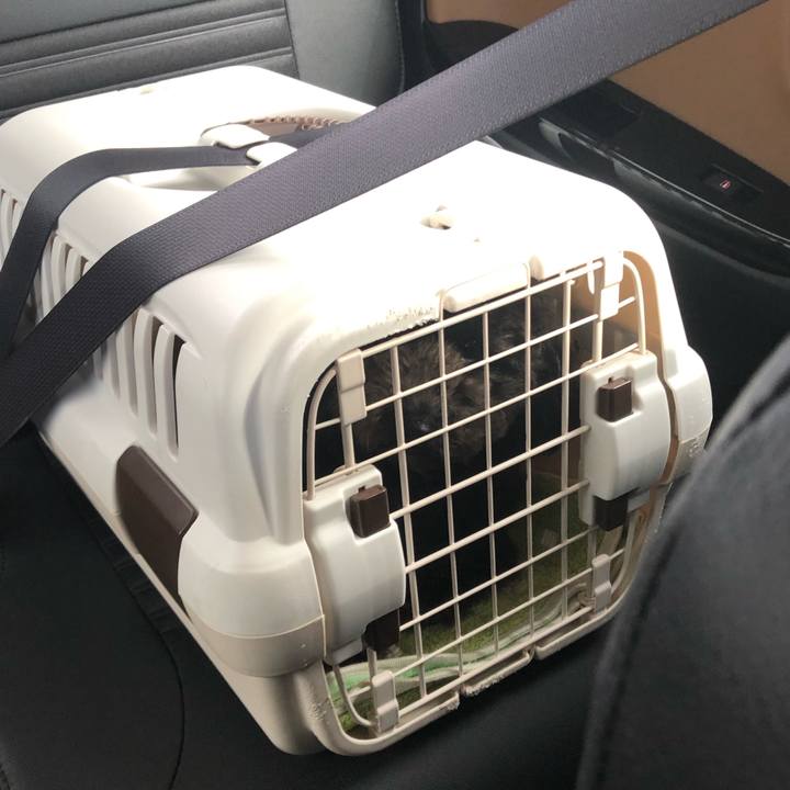 B0eee608 6f55 4d93 9590 48b8932845c1 1582692203809