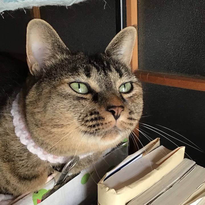 B0ef03f5 a316 4c12 ba03 a1235e1f5358 1726789968150