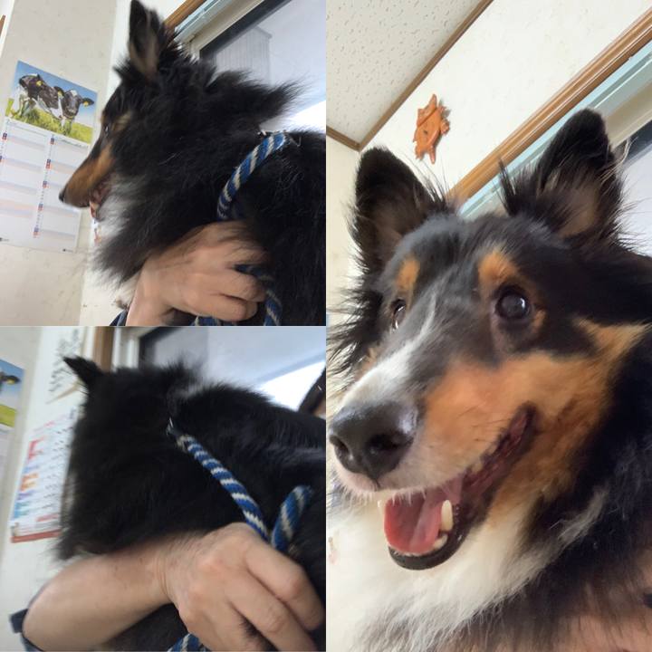 B0efb863 e393 446a 8279 a261036e9207 1594677514030