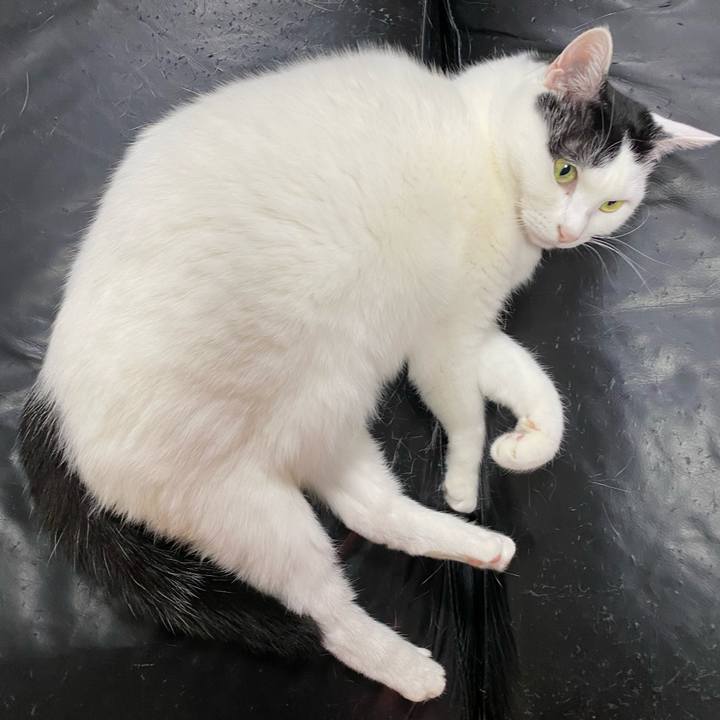 B0efc9bb 4024 4b81 a7a2 ef65243b4cbb 1771042398744