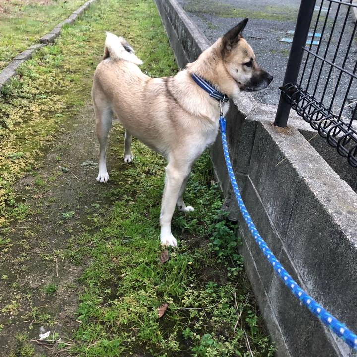 B0efe4de 7a93 4ad6 bcd0 e8be44d2d142 1576760327828